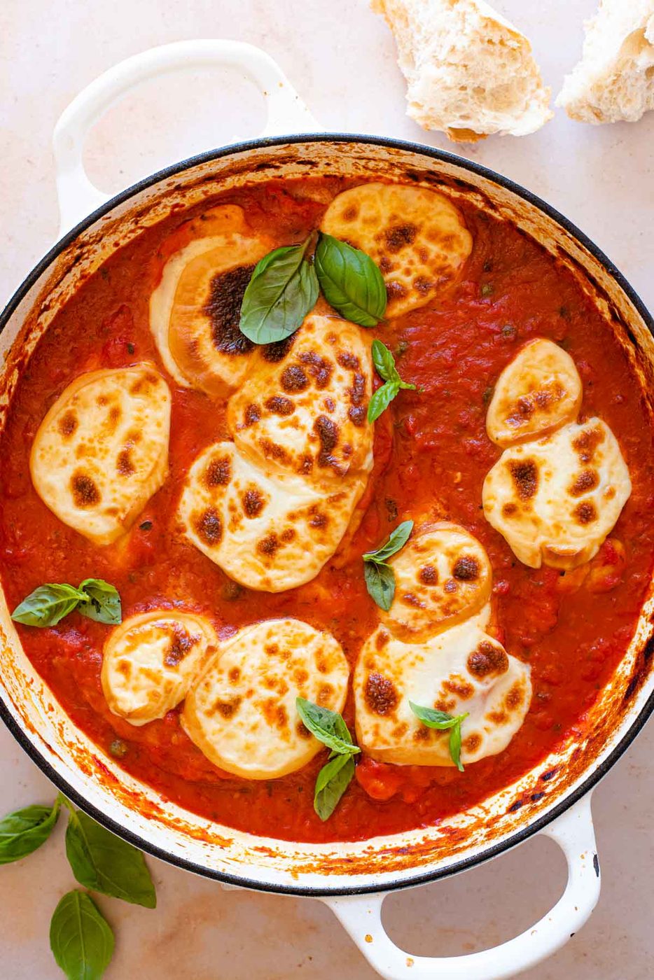 An overhead shot of a chicken pizzaiola in a large pan topped with fresh basil