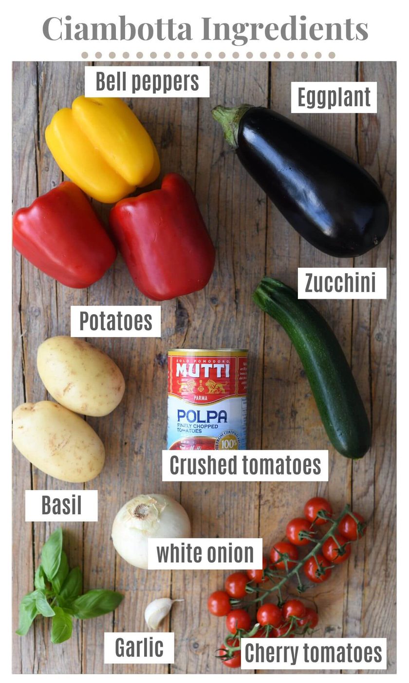 An overhead shot of all the ingredients needed to make Ciambotta.