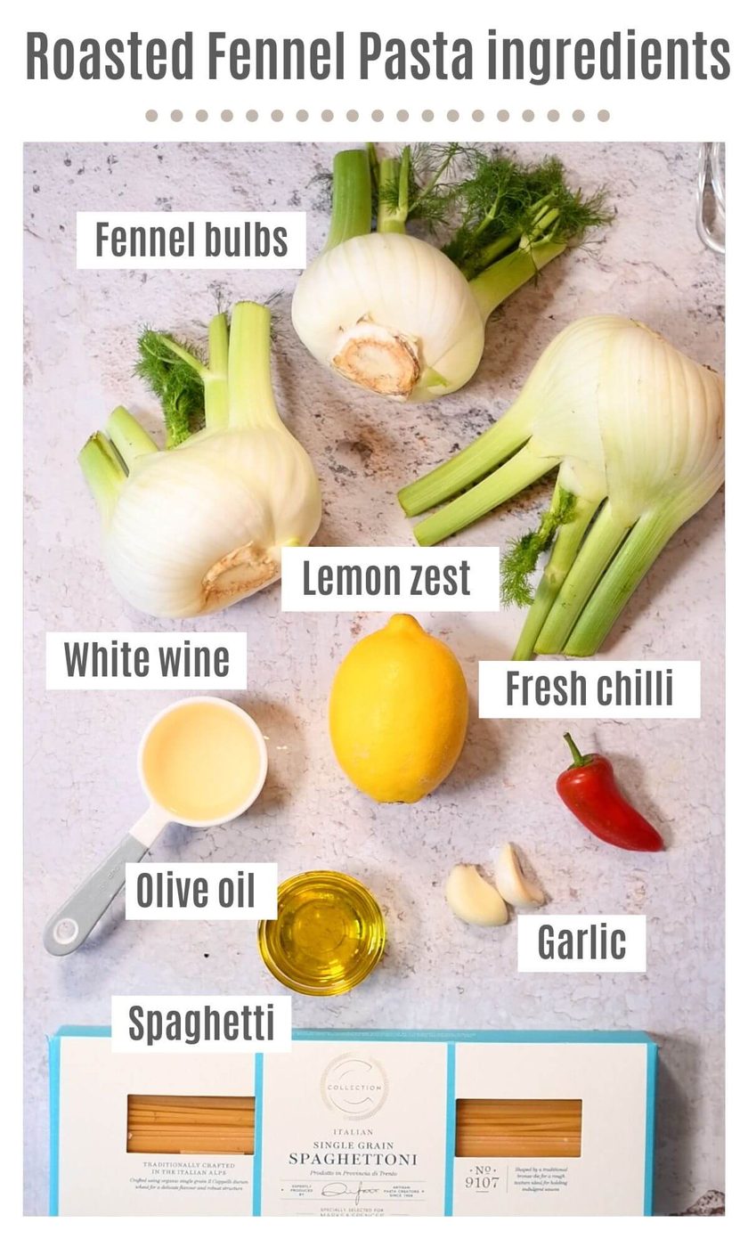 An overhead shot of all the ingredients needed to make roasted fennel pasta.