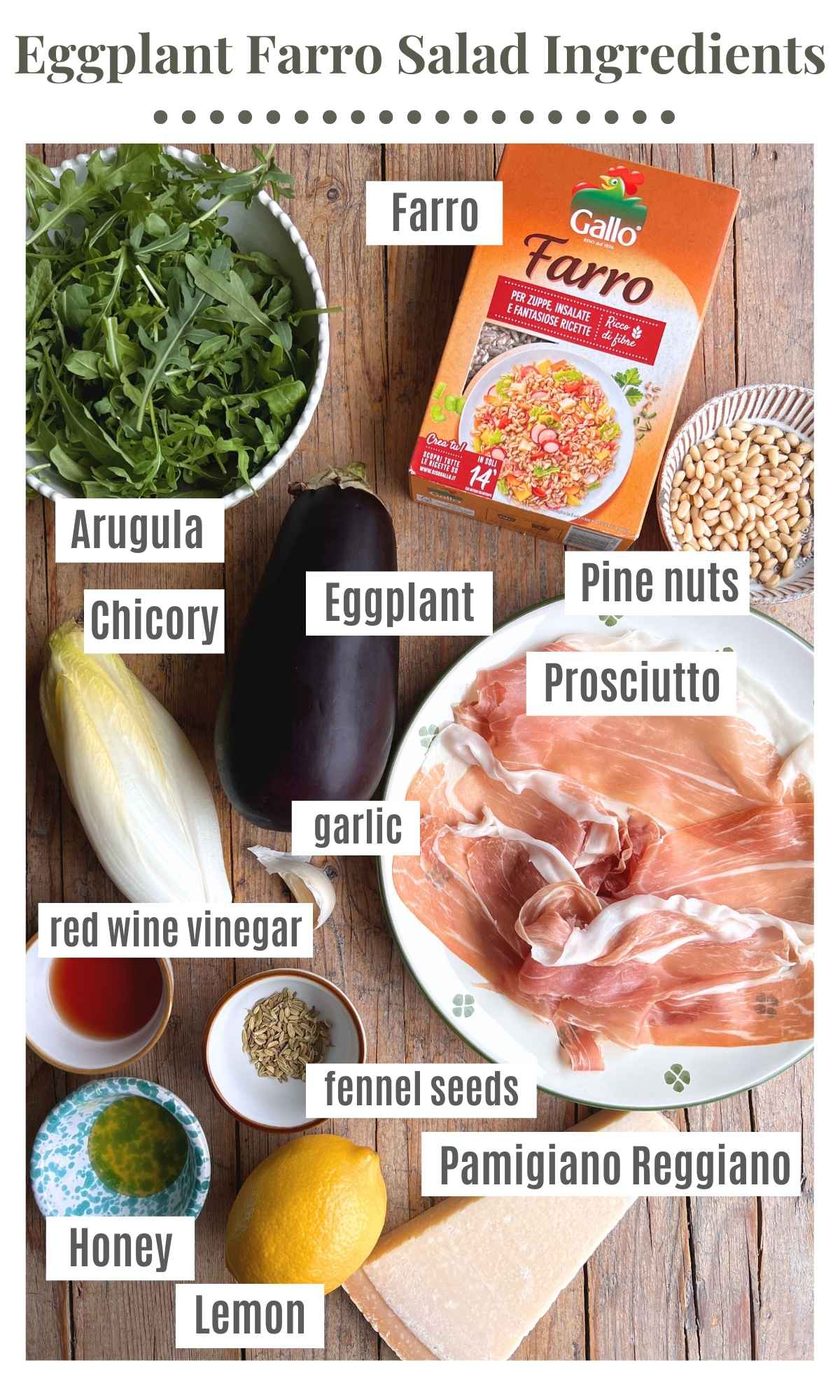 An overhead shot of all the ingredients needed to make an eggplant farro salad.