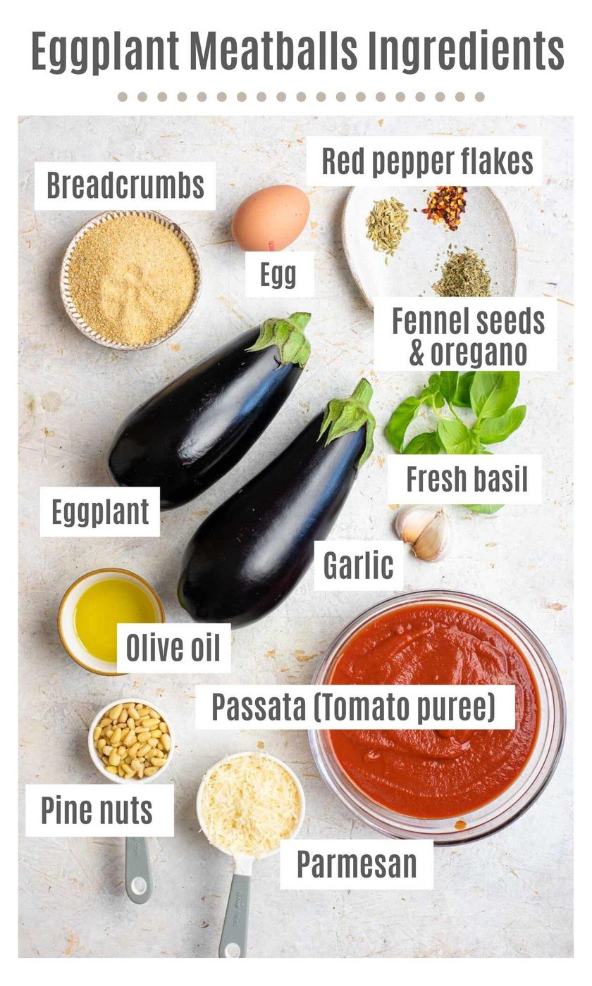 An overhead shot of all the ingredients you need to make eggplant meatballs