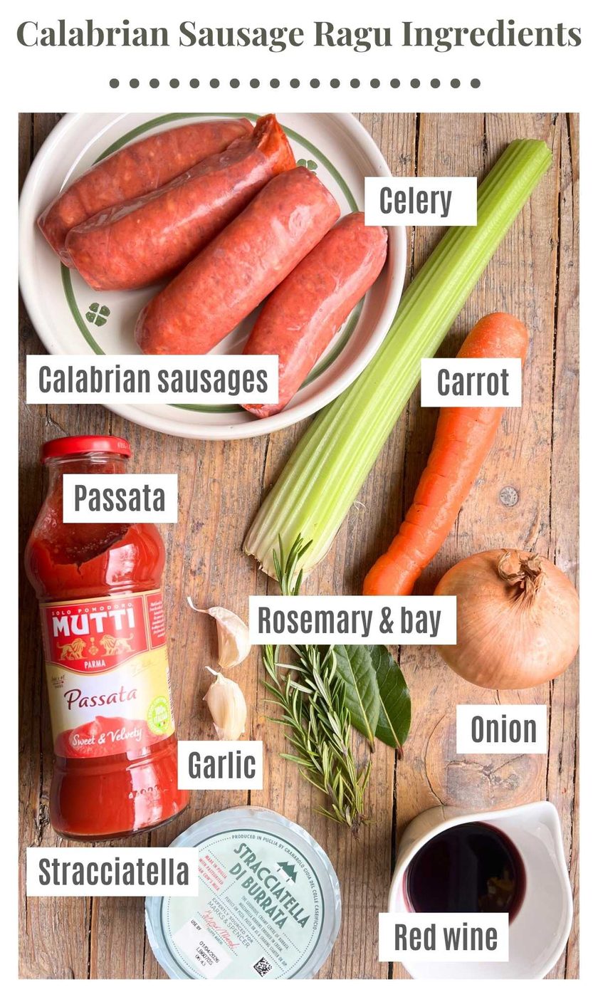 An overhead shot of all the ingredients needed to make spicy Calabrian sausage ragu.