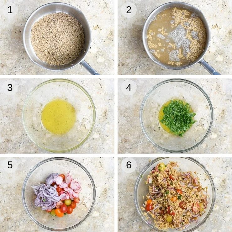 Italian Farro Salad