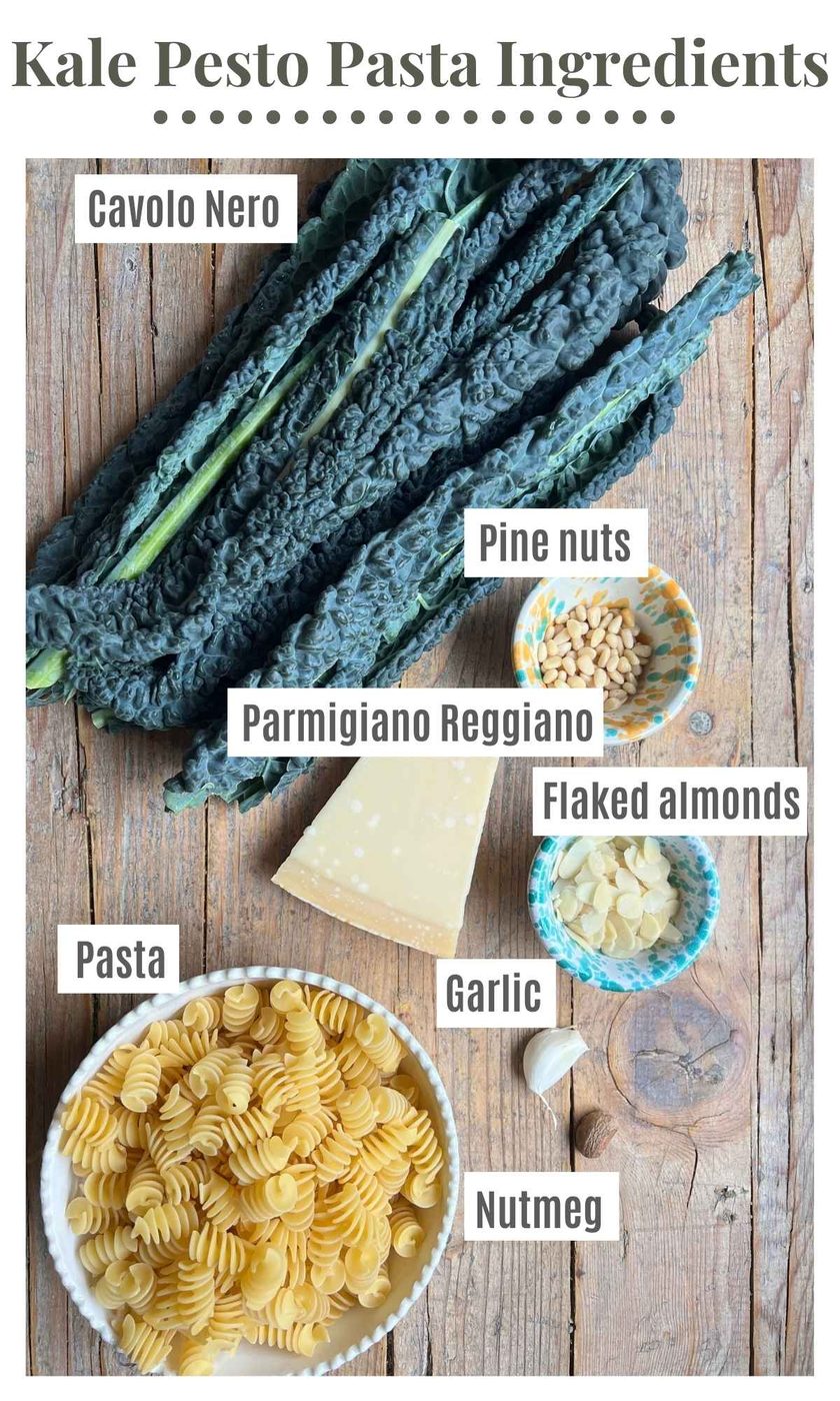 An overhead shot of all the ingredients needed to make kale pesto pasta on a rustic wooden board.
