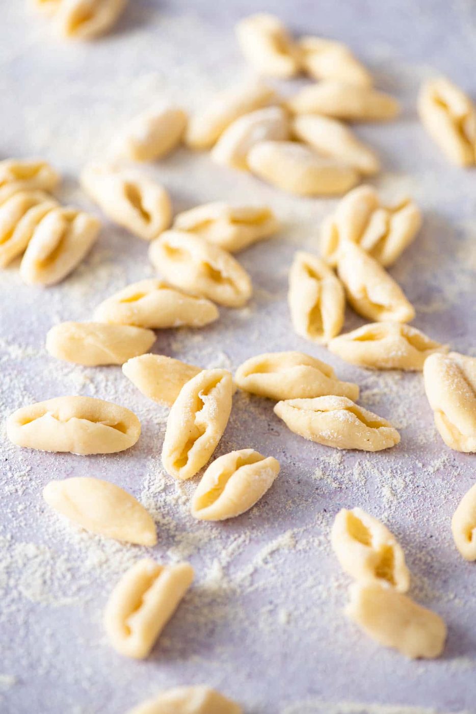 Homemade Cavatelli Pasta