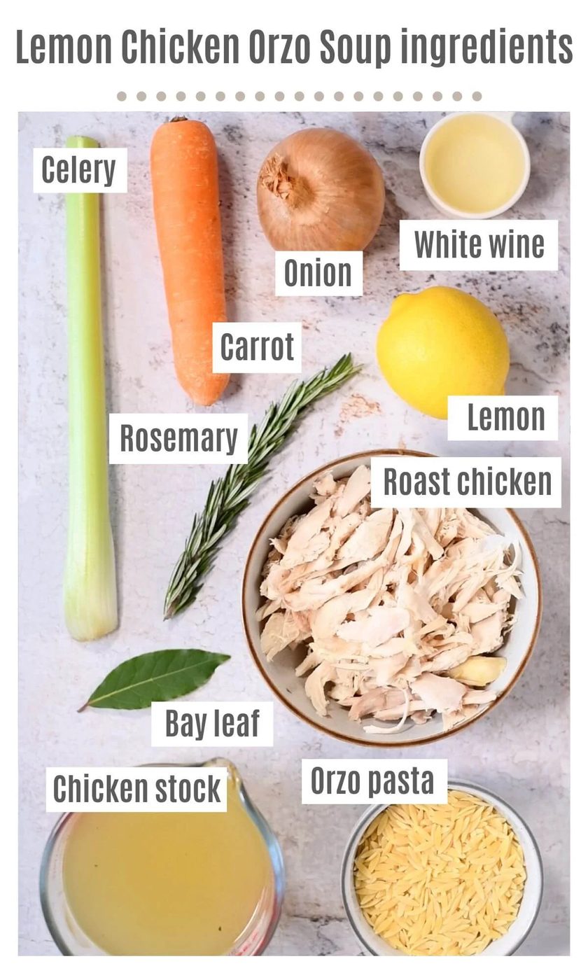 An overhead shot of all the ingredients needed to make lemon chicken orzo soup.