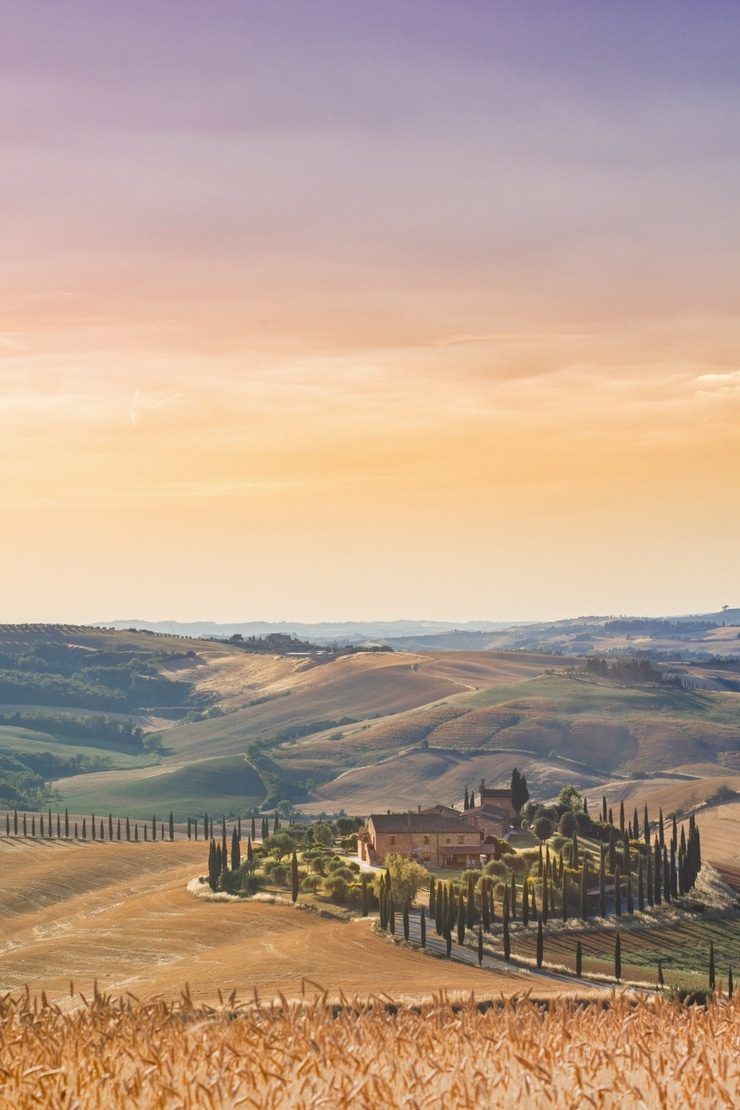 A photo of the Tuscan countryside, an old rustic farmhouse with cypress trees surrounding it