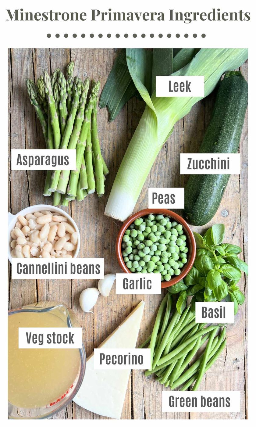 An overhead shot of all the ingredients needed to make minestrone primavera (Italian spring vegetable soup).