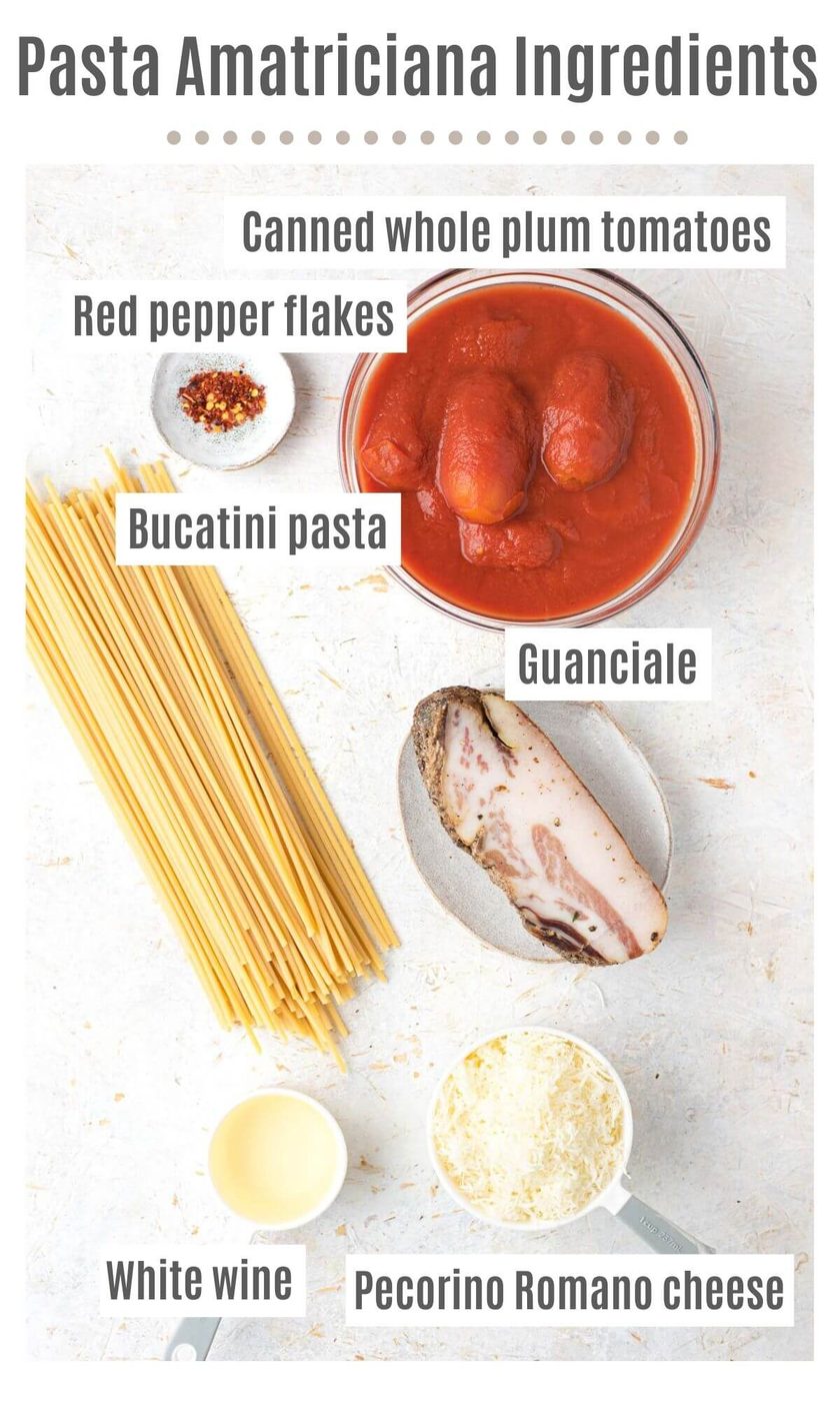 An overhead shot of all the ingredients you need to make Bucatini all'Amatriciana