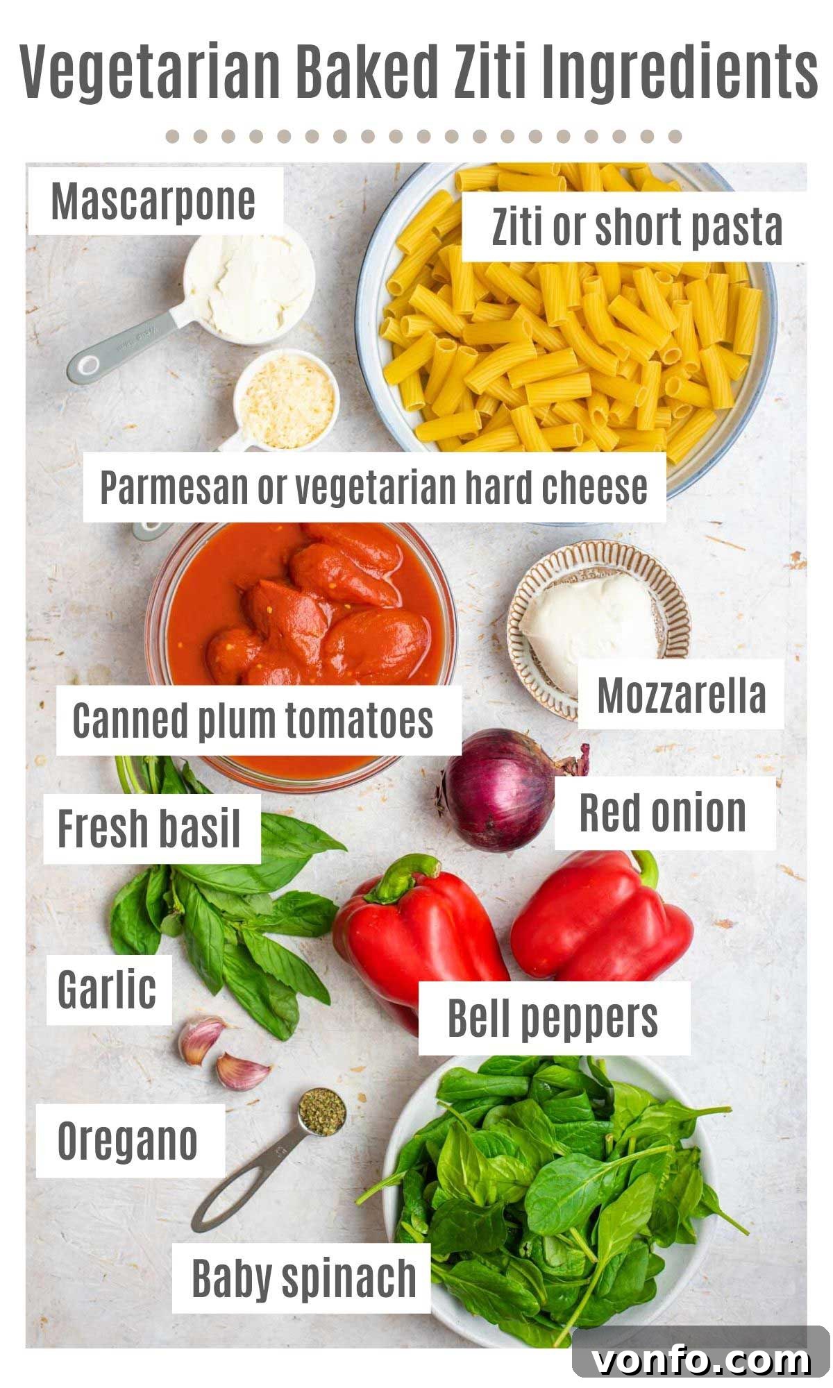Veggie Lover's Baked Ziti 3 An overhead shot of all the ingredients you need to make a vegetarian baked ziti