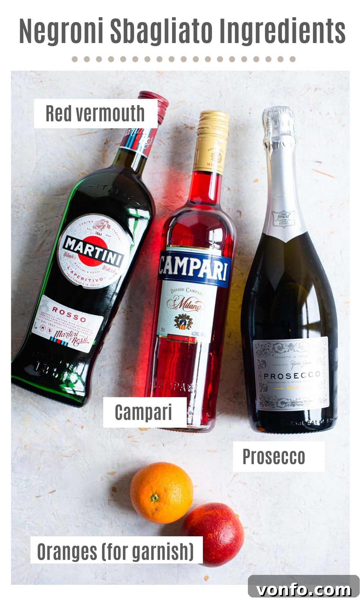 An overhead shot of all the ingredients you need to make a Negroni Sbagliato