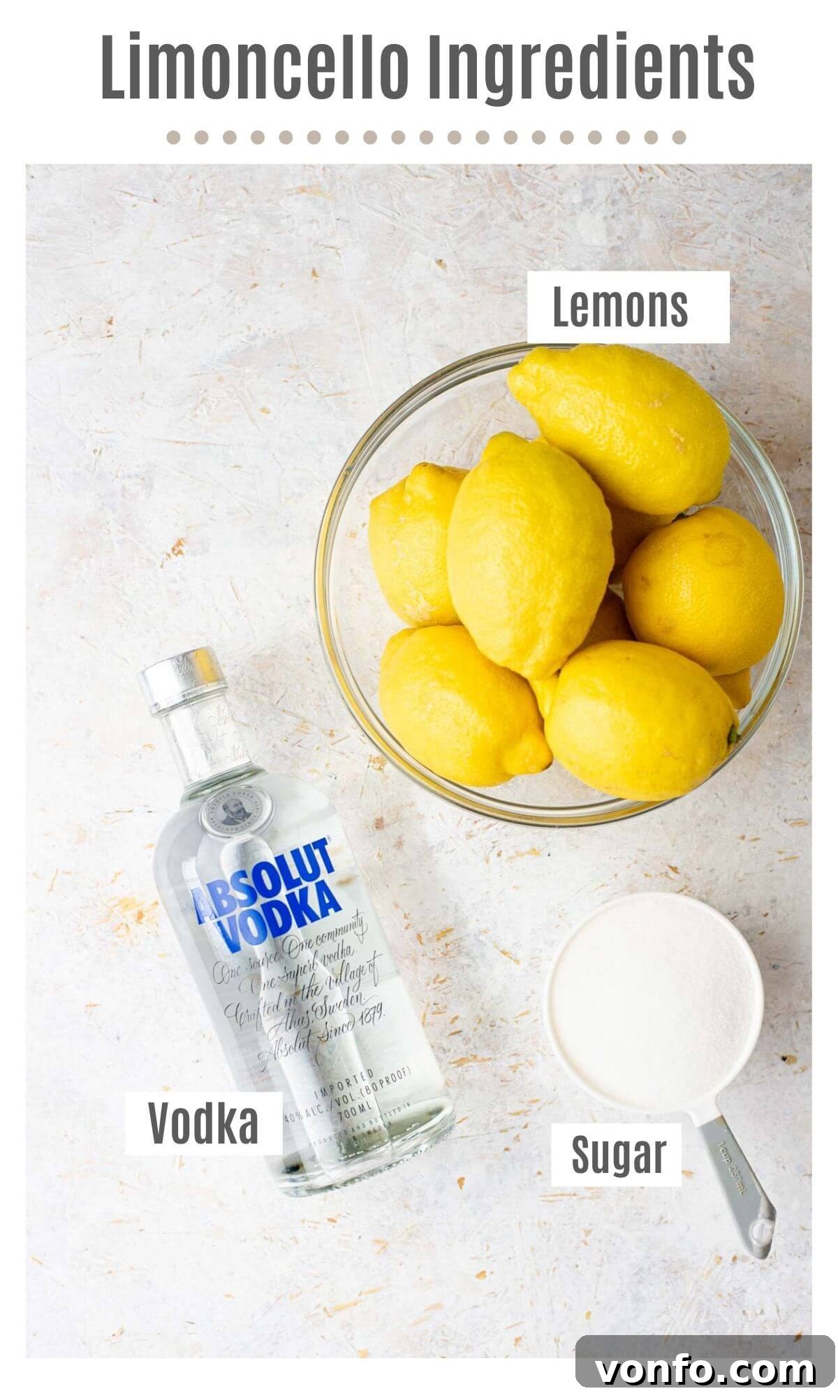 Zesty Homemade Limoncello Made Easy 3 An overhead shot of all the ingredients you need to make homemade limoncello