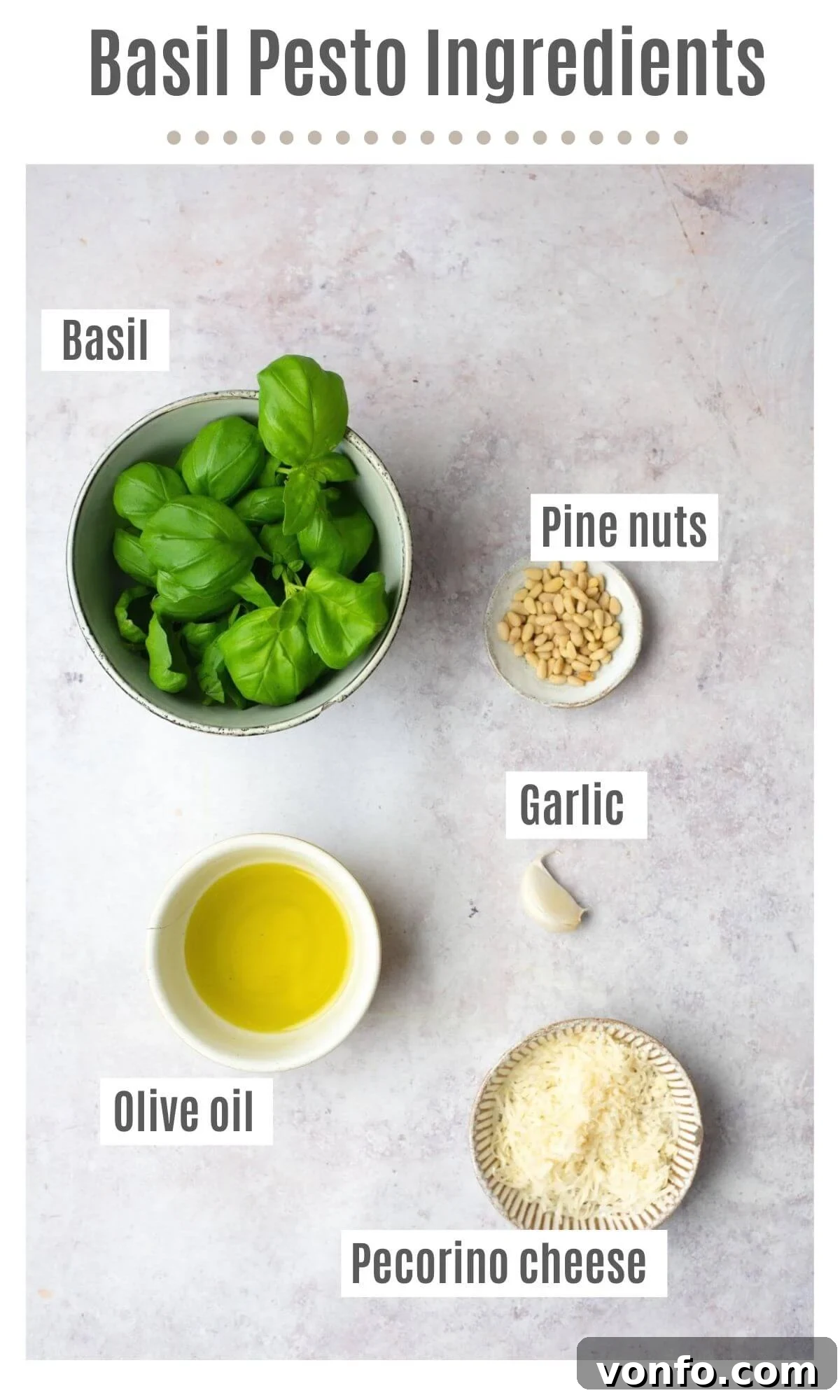 Taste of Liguria Fresh Pesto Minestrone 4 An overhead shot of all the ingredients you need to make basil pesto
