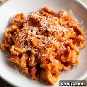 Spicy Nduja Orecchiette 7 A close up of orecchiette pasta with Nduja sugo in a bowl.
