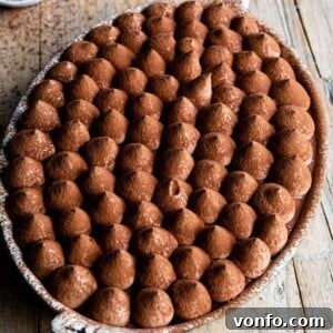 A square image depicting a delightful chocolate tiramisu in an oval dish, beautifully set on a rustic wooden background.
