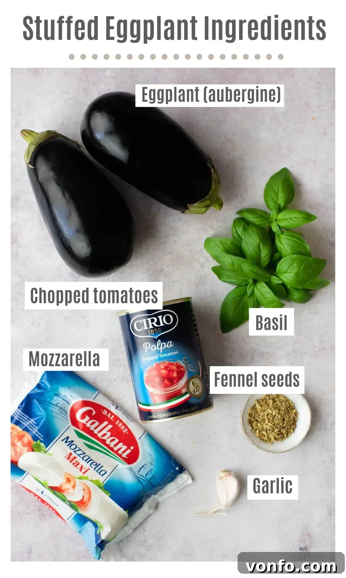 Mouthwatering Italian Eggplant Boats with Mozzarella and Tomato 3 An inviting overhead shot of all the fresh ingredients for Italian stuffed eggplant: raw eggplants, fresh basil sprigs, a can of chopped tomatoes, creamy mozzarella, aromatic fennel seeds, and garlic cloves.