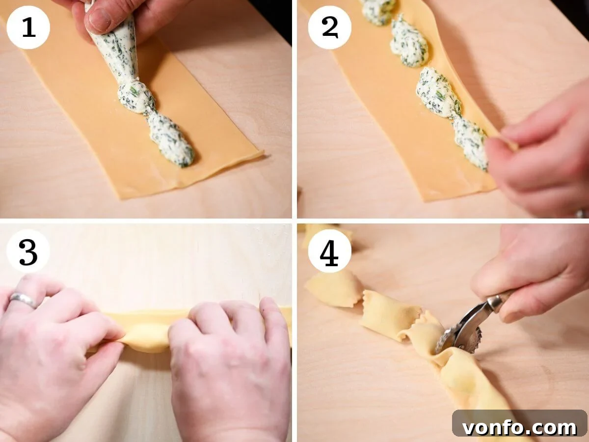 Four photos in a collage showing how to pipe the filling for Agnolotti in discrete sections.