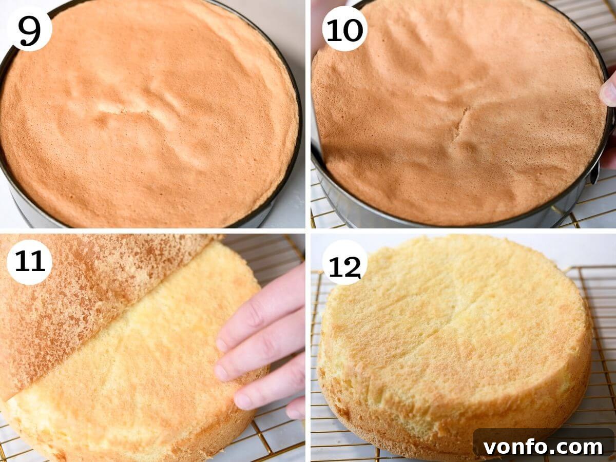 Four photos in a collage showing what Pan di Spagna looks like once baked and cooling.