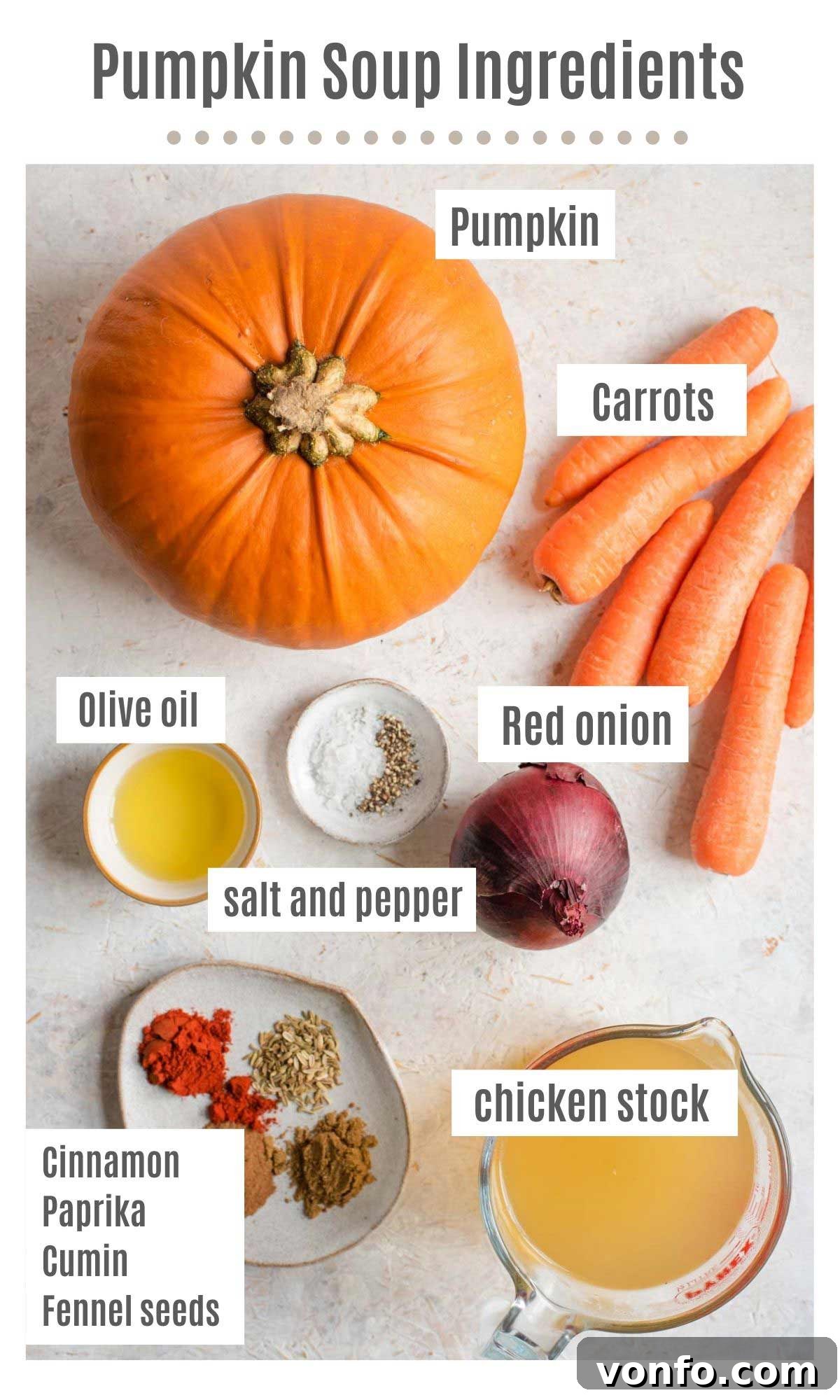 Warm Cinnamon Pumpkin Delight 3 An overhead shot showcasing all the essential, fresh ingredients laid out for making a delicious roasted pumpkin soup. It includes a whole pumpkin, chopped carrots and red onion, alongside small bowls of various warming spices like cinnamon, paprika, cumin, and fennel seeds, all ready for preparation.
