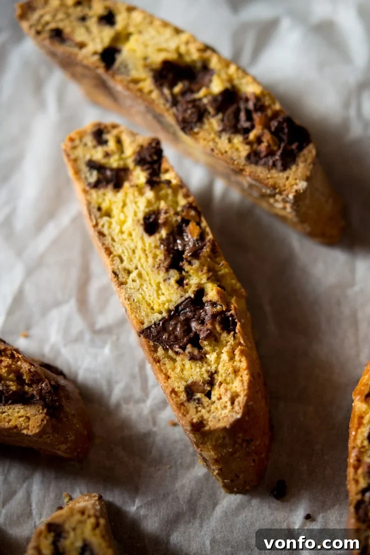 Close-up view of freshly baked Orange Chocolate Cantucci cookies, showing the perfect crunch, dark chocolate chips, and vibrant orange zest.