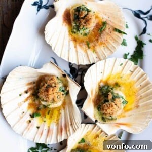 Golden Friulian Scallop Bake 6 A close up cropped image of scallops in their shells with a rich parsley butter and golden, crispy breadcrumbs, ready to serve.