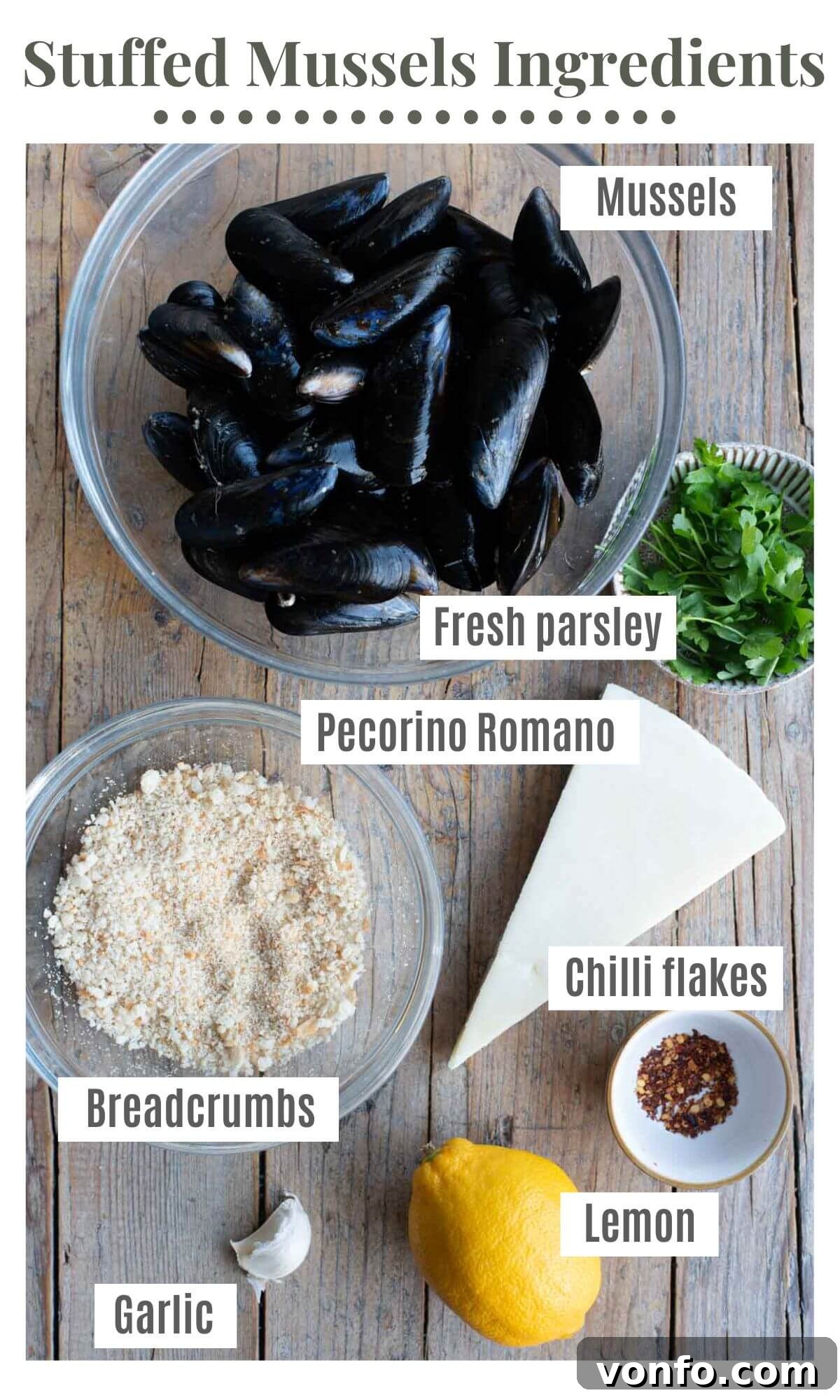 An overhead view showcasing all the fresh and dry ingredients required to prepare Italian stuffed mussels, including fresh mussels, lemons, garlic, parsley, breadcrumbs, olive oil, and Pecorino Romano.