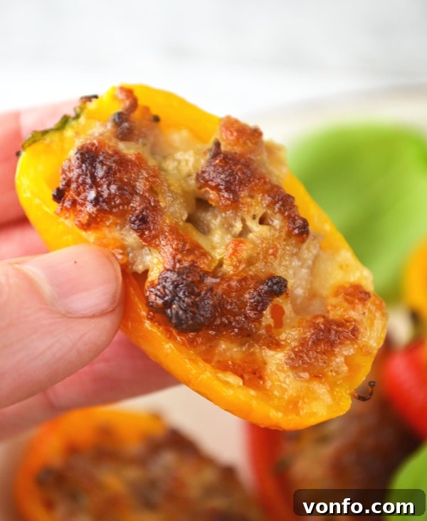 Simple ingredients for a flavorful Italian stuffed pepper appetizer Ingredients for stuffed mini peppers: stracchino cheese, Italian sausage, and rosemary