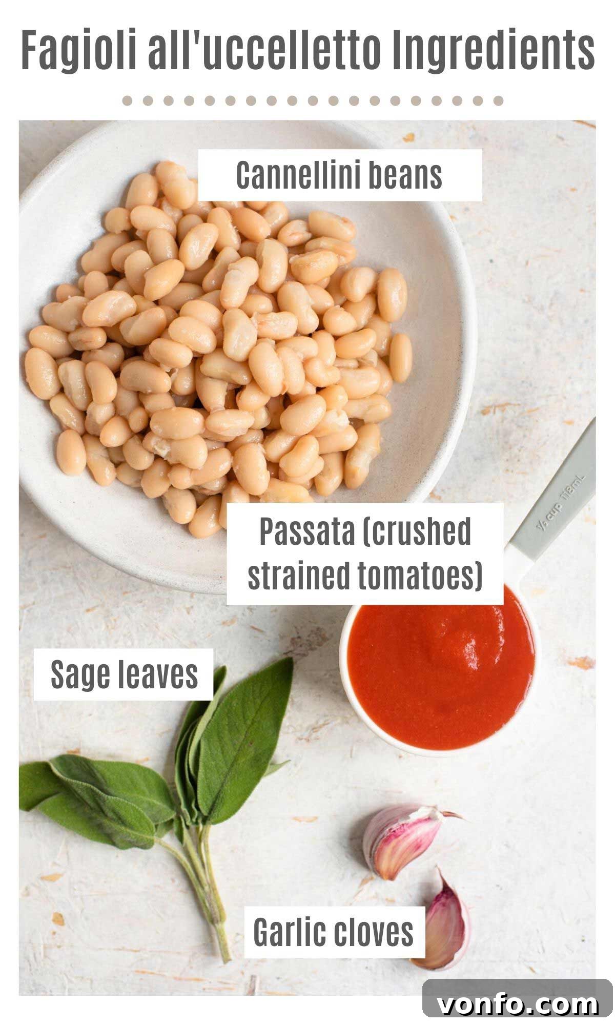 Tuscan White Beans in Rich Tomato Sauce 3 An overhead shot displaying all the essential ingredients required to prepare a batch of flavorful Fagioli all'uccelletto.