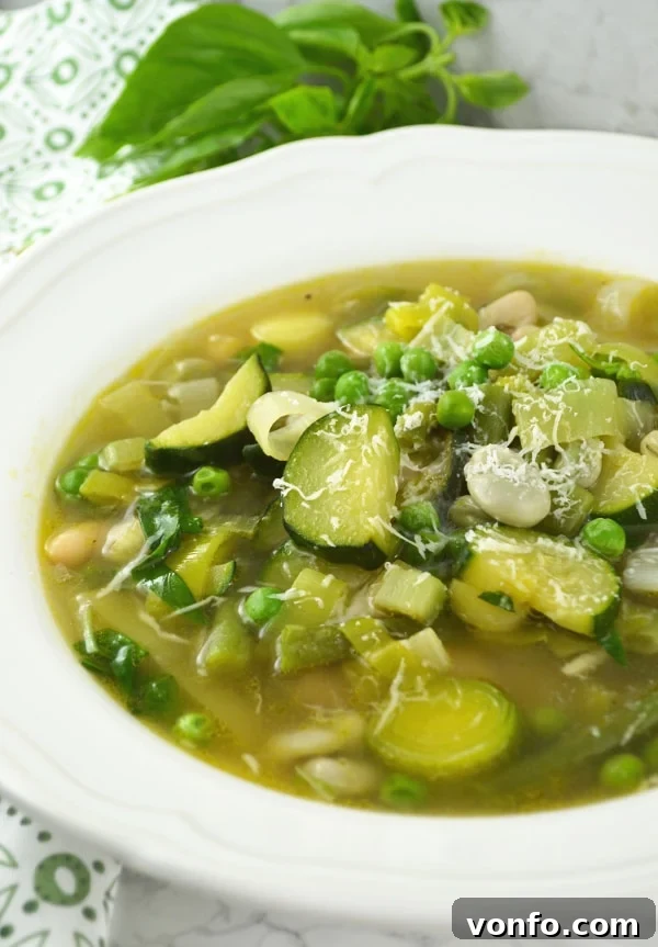 Close-up of Minestrone Primavera, showing a bowl of fresh spring vegetable soup with a sprinkle of cheese