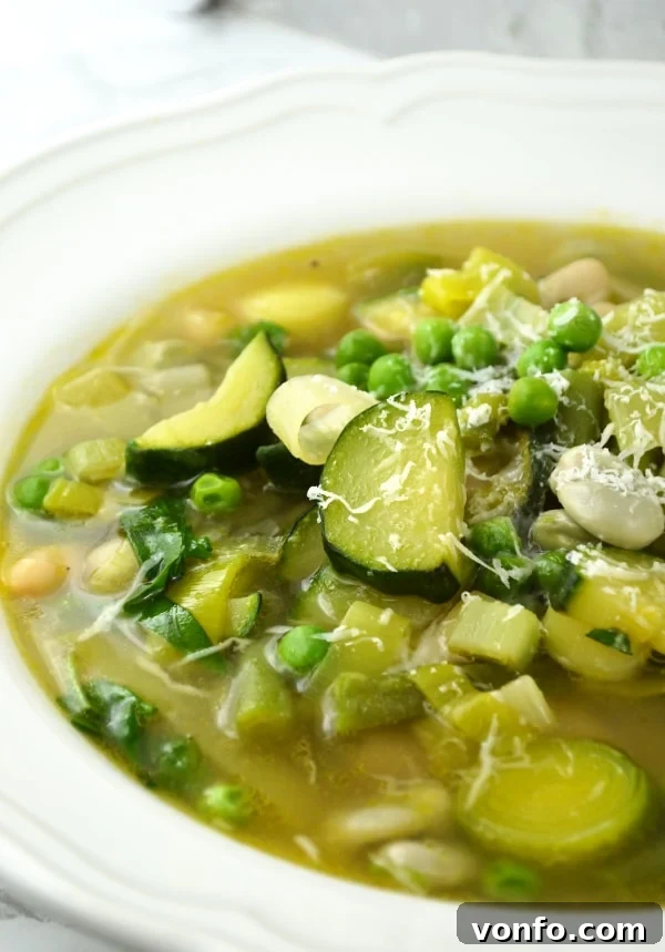 A bowl of fresh Minestrone Primavera garnished with Pecorino cheese