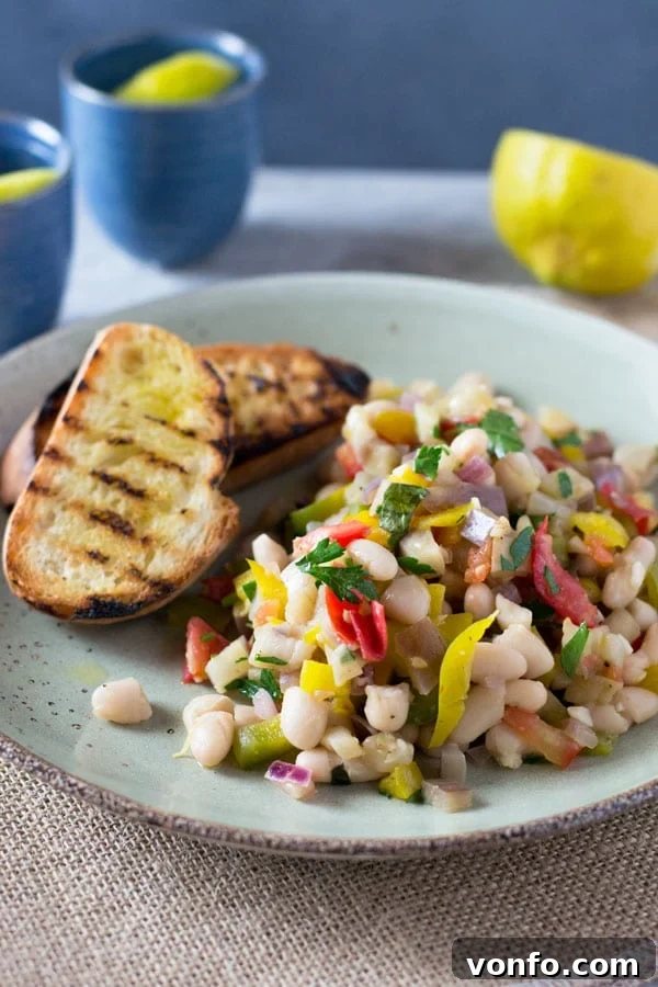 A serving of warm easy bean salad with eggplant, tomato, garlic and fresh herbs, ready to be enjoyed. Recipe by Insidetherustickitchen.com