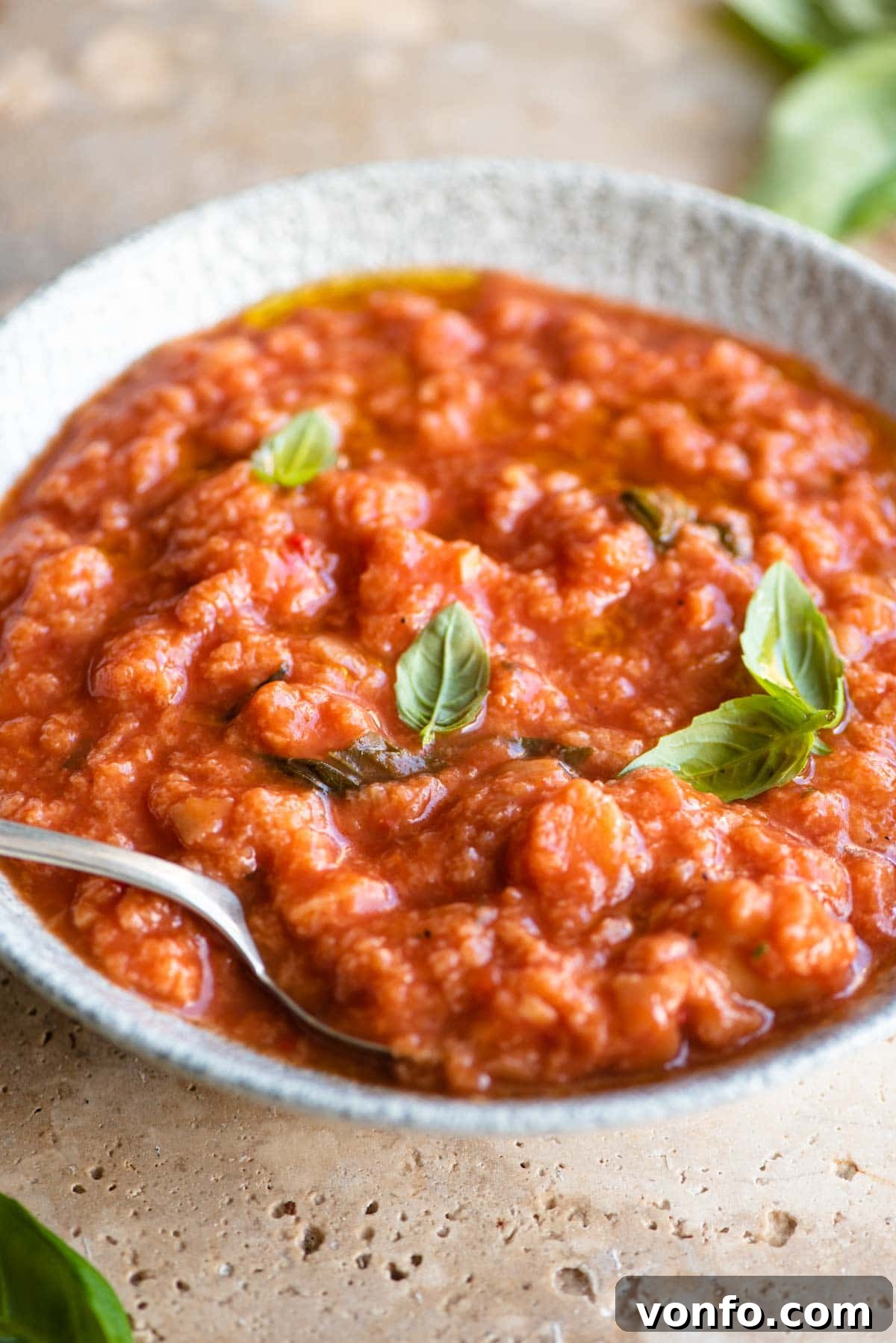 Pappa al Pomodoro Rustic Italian Tomato Bread Soup 6 A close up of Pappa al Pomodoro in a rustic bowl, showcasing its thick, comforting texture, garnished with vibrant fresh basil leaves and a glistening drizzle of olive oil.