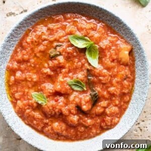 Pappa al Pomodoro Rustic Italian Tomato Bread Soup 7 A close up of a beautifully garnished bowl of Pappa al Pomodoro, topped with vibrant fresh basil and glistening olive oil, ready to be enjoyed.