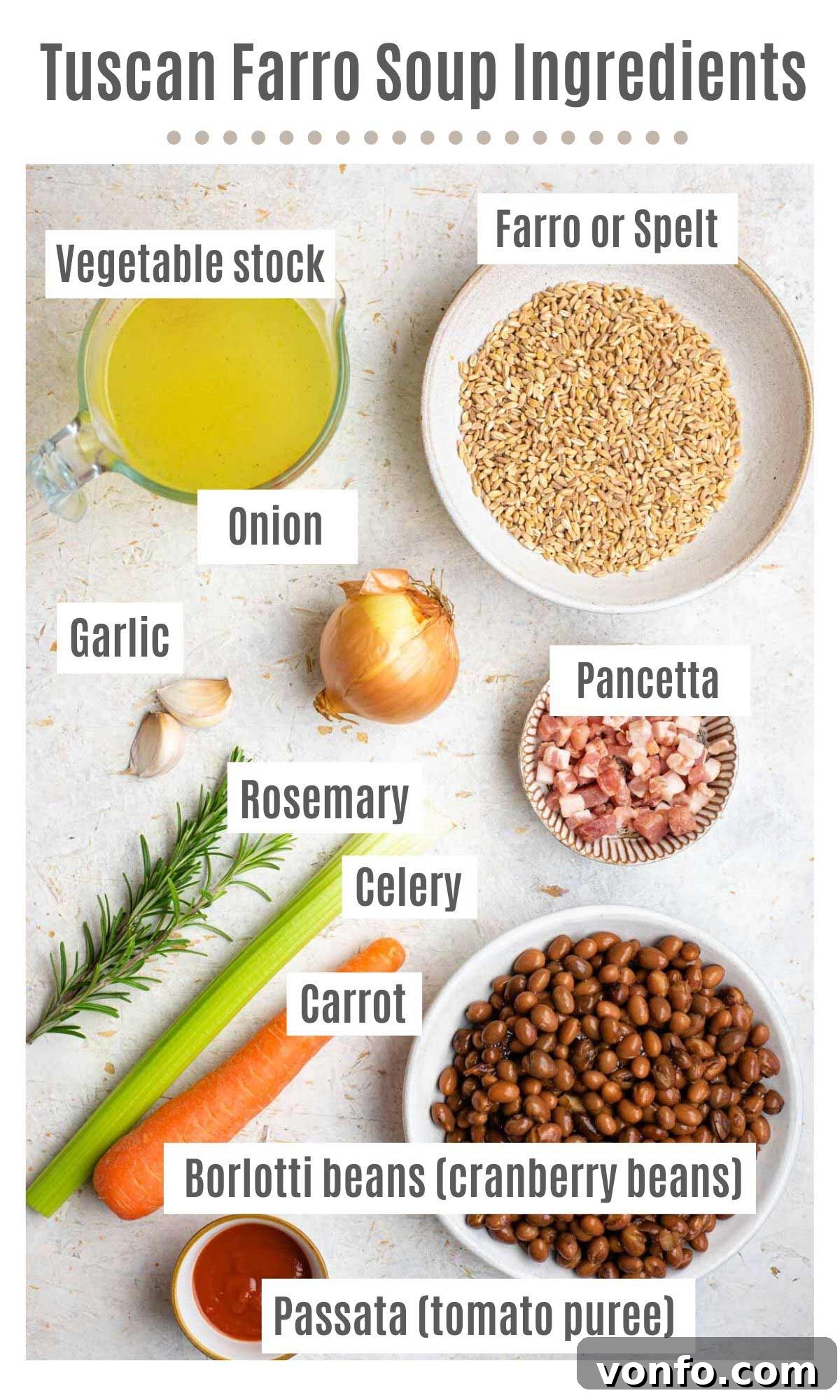 Hearty Tuscan Farro and Bean Soup 3 An overhead view of all the ingredients meticulously laid out, ready to be transformed into a delicious Tuscan farro soup. Includes vegetables, beans, farro, pancetta, and herbs.