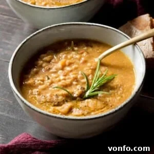 A close up of a bowl of farro soup