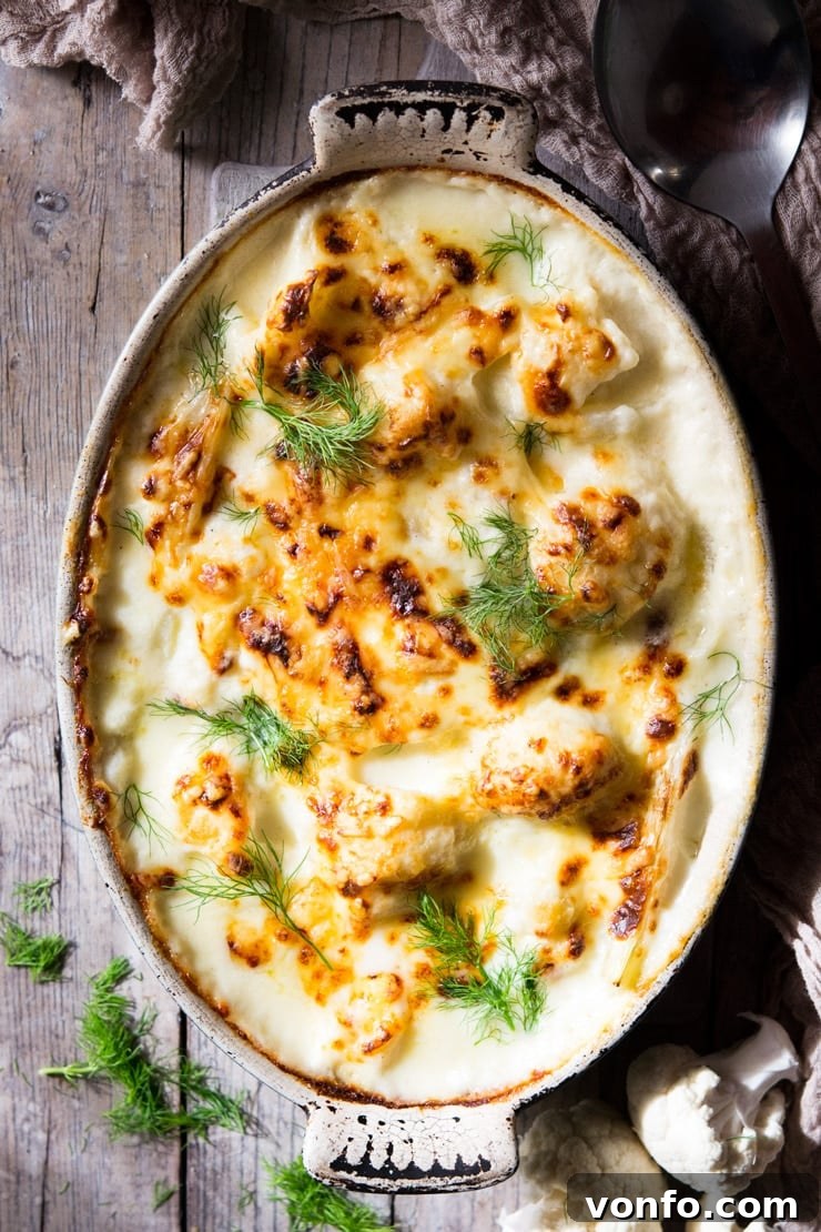 Baked Cauliflower Cheese and Fennel: The Ultimate Comfort Side Dish An overhead shot of baked cauliflower cheese in an oval baking dish on a wooden surface, showing golden, bubbly cheese and tender vegetables