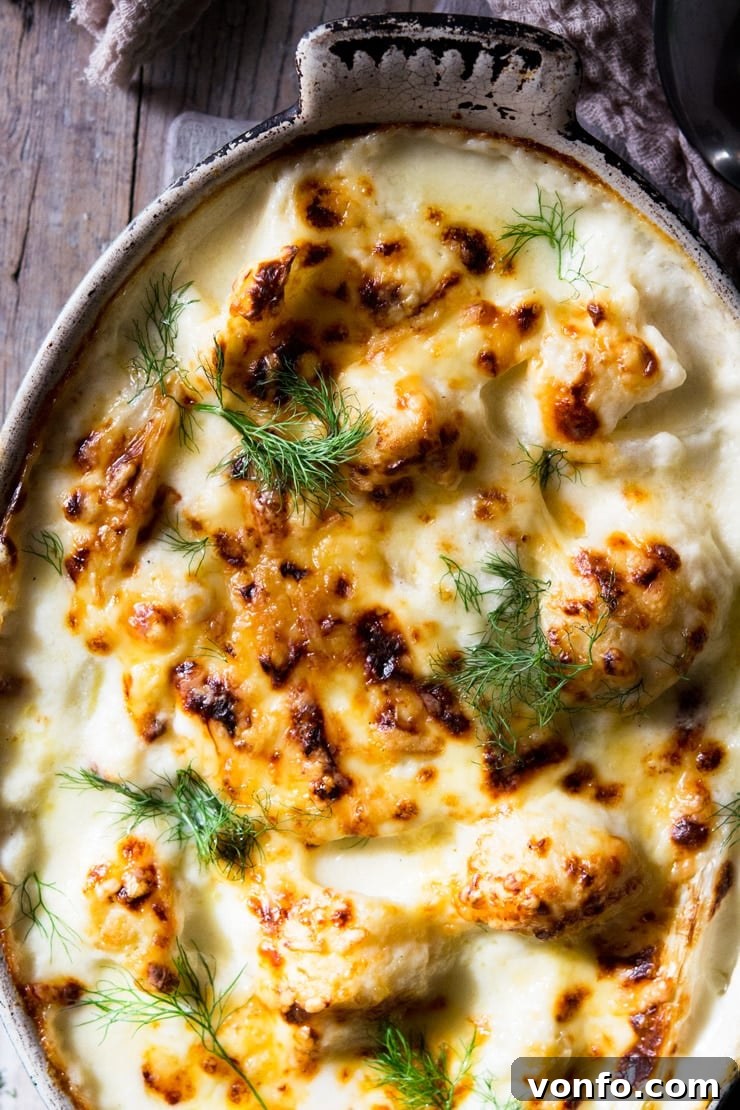 Irresistibly Bubbly Golden Cheese Topping A close-up shot of golden, melted, bubbling cheese on top of baked cauliflower cheese, glistening under the light