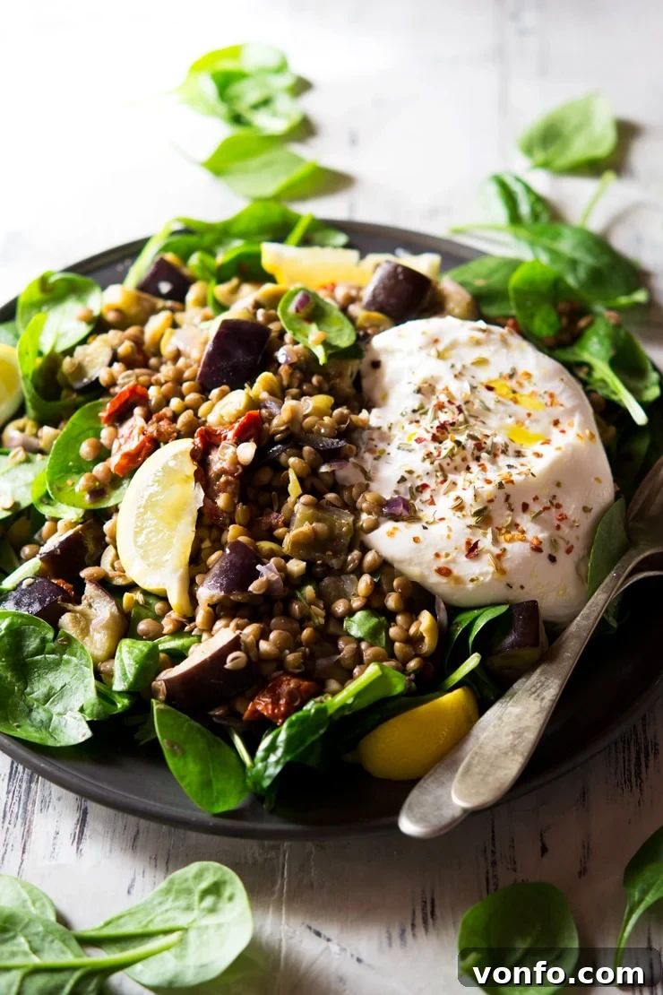 Close-up of Loaded Lentil Salad with Burrata A close-up view of the finished lentil salad with eggplant and creamy burrata cheese on a plate, garnished with fresh herbs, red pepper flakes, and fennel seeds, with a drizzle of olive oil.