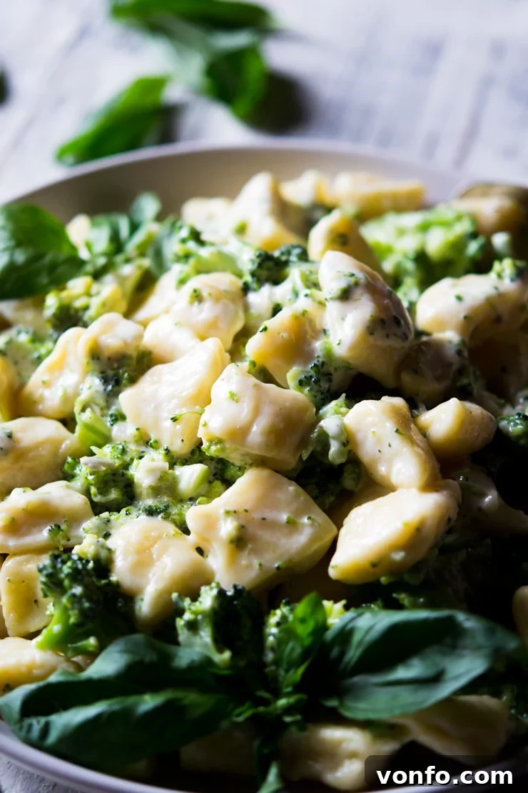 A close up shot of ricotta gnocchi with a broccoli cream sauce garnished with basil A close up shot of fluffy ricotta gnocchi generously coated in a rich broccoli cream sauce, elegantly garnished with fresh basil leaves, highlighting its appetizing appeal.
