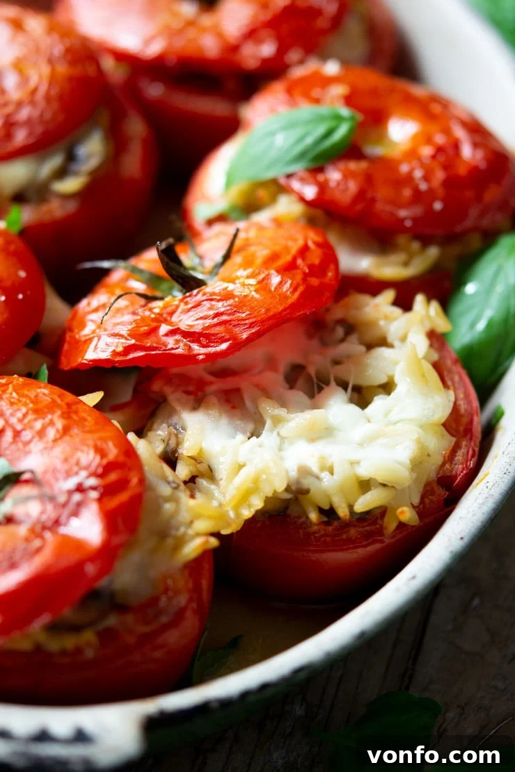Savory Baked Orzo Tomatoes 5 A close-up shot of baked stuffed tomatoes in a baking dish, with creamy orzo pasta and visibly stretchy mozzarella cheese pulling apart.