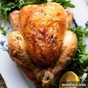 Zesty Lemon Roast Chicken 8 A close up cropped image of a roast chicken on a plate with lemon and arugula.