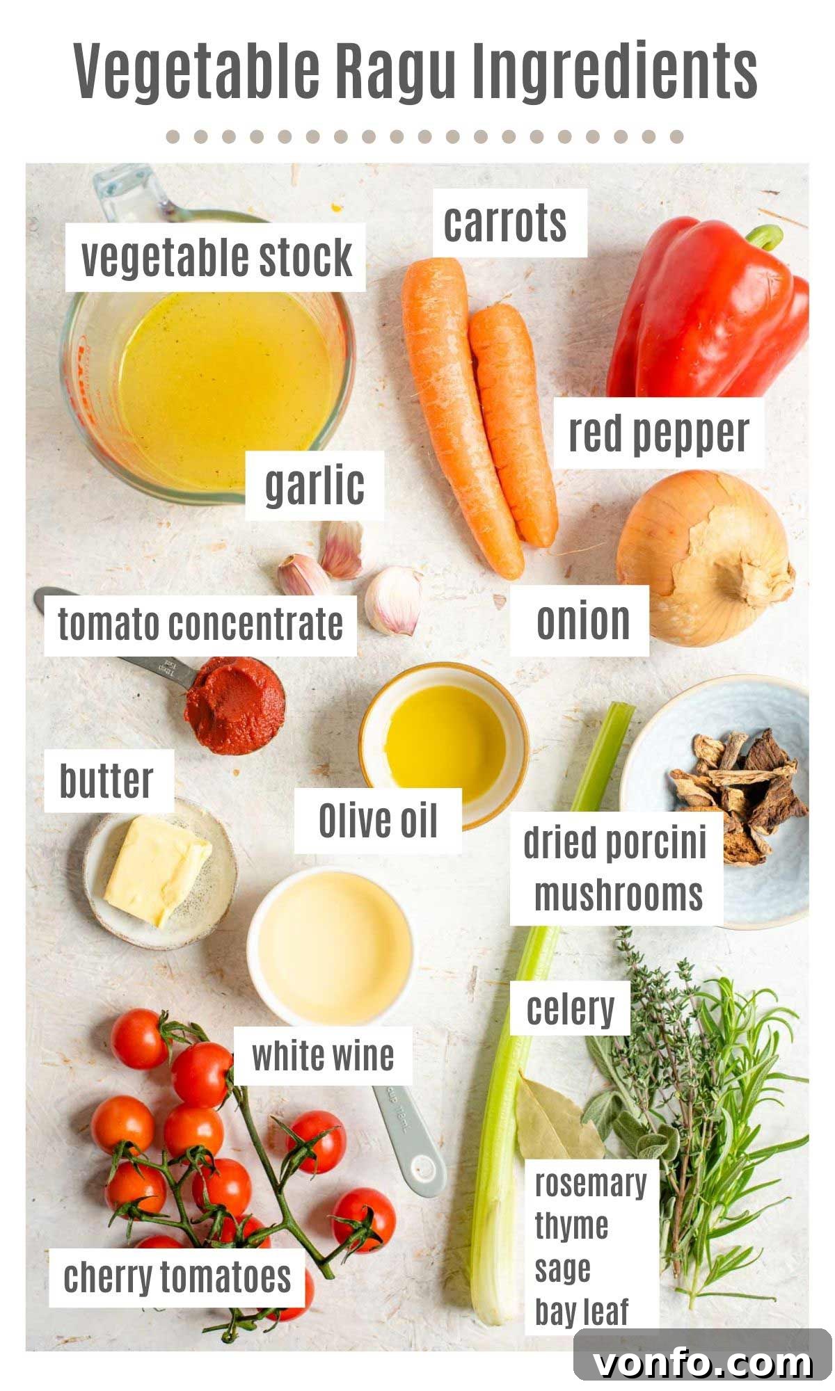 An overhead shot showcasing all the fresh, colorful ingredients required to make a homemade vegetable ragu